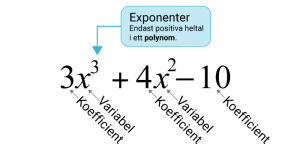 Vad är Ett Polynom? (Algebra, Matte 3) - Eddler